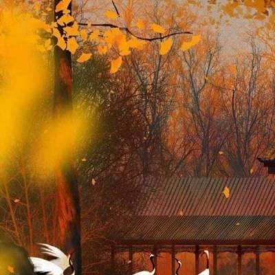 市委举办树立和践行正确政绩观学习教育读书班暨市委理论学习中心组学习会议